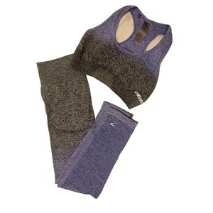 Gymshark Blue-Gray Gradient Set